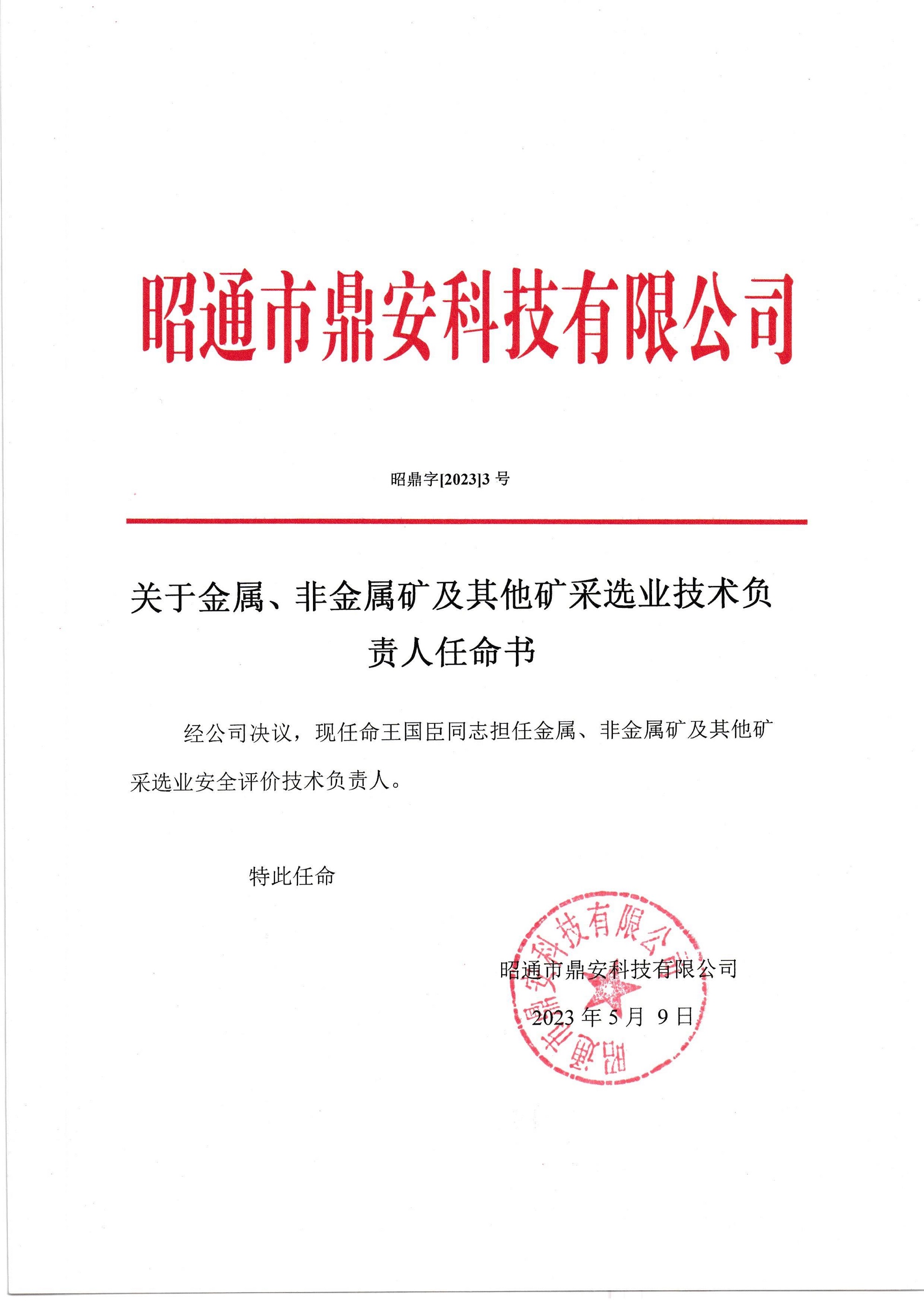 關(guān)于金屬、非金屬礦及其他礦采選業(yè)技術(shù)負(fù)責(zé)人任命書-王國臣_2.jpg